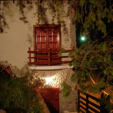 Rem'S Pension Râşnov Exterior photo