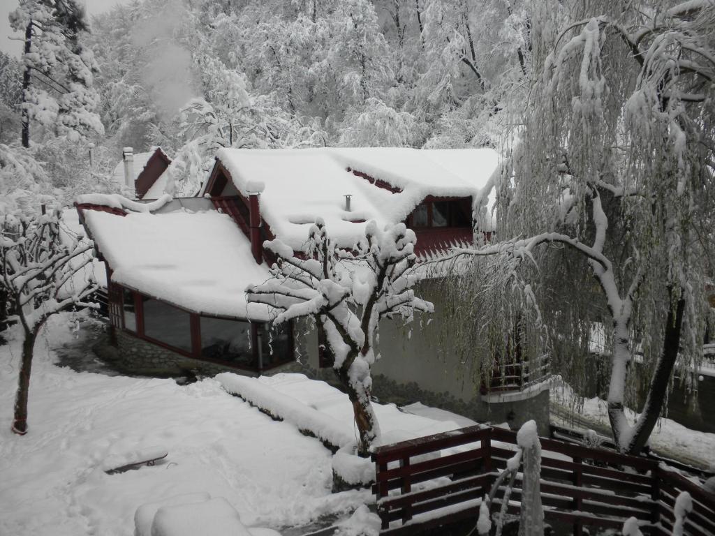Rem'S Pension Râşnov Exterior photo